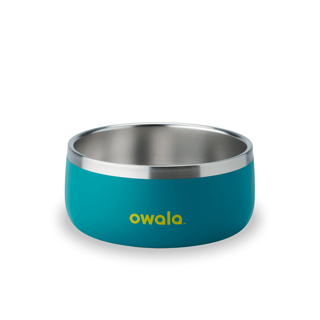 Pet Bowl T3