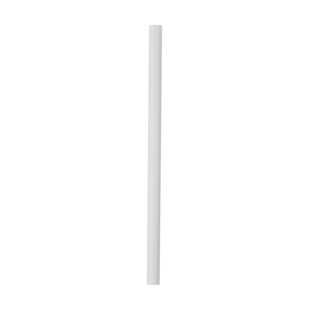 Replacement Straws P4